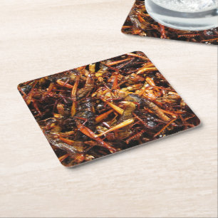 Fried Grasshopper (Takkataen Thot) Asian Food Square Paper Coaster
