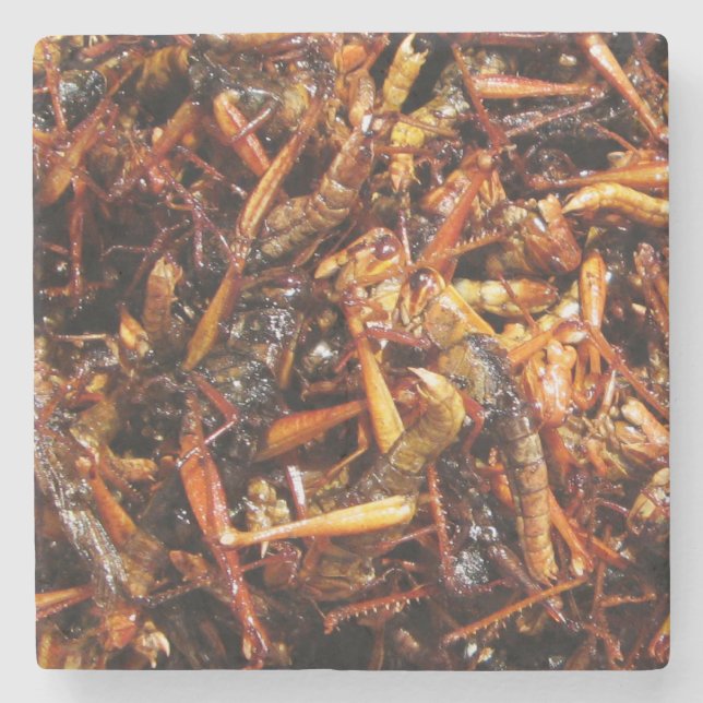 Fried Grasshopper (Takkataen Thot) Asian Food Stone Coaster (Front)