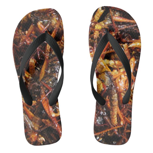 Fried Grasshopper (Takkataen Thot) Asian Food Thongs (Footbed)