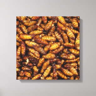 Fried Silk Worms ... Thai Street Food Canvas Print