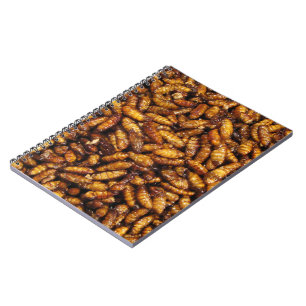 Fried Silk Worms ... Thai Street Food Notebook