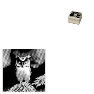 "Frieda the Screech Owl: A Nocturnal Beauty" Rubber Stamp