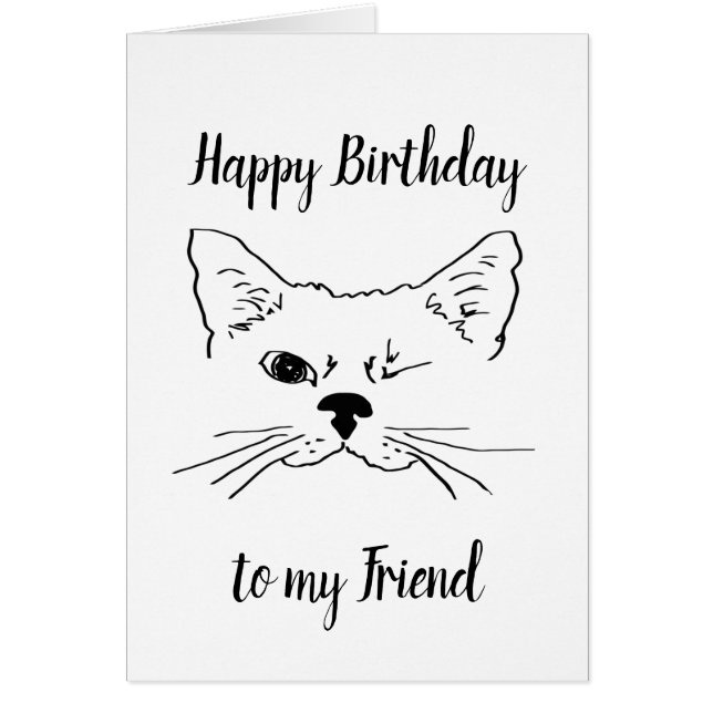 Friend Birthday Humour Quote Winking Cat Fun (Front)
