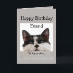 Friend Birthday Old Age Over the Hill, Cat Humor Card<br><div class="desc">Old age is when it takes longer to get over a good time than to have it.  Funny Over the Hill Friend Cat Birthday Humor.</div>