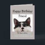 Friend Birthday Old Age Over the Hill, Cat Humor Card<br><div class="desc">Old age is when it takes longer to get over a good time than to have it.  Funny Over the Hill Friend Cat Birthday Humor.</div>