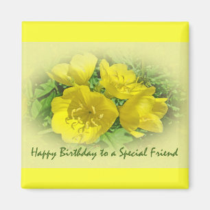 Friend Birthday Yellow Primroses - Sundrops Magnet