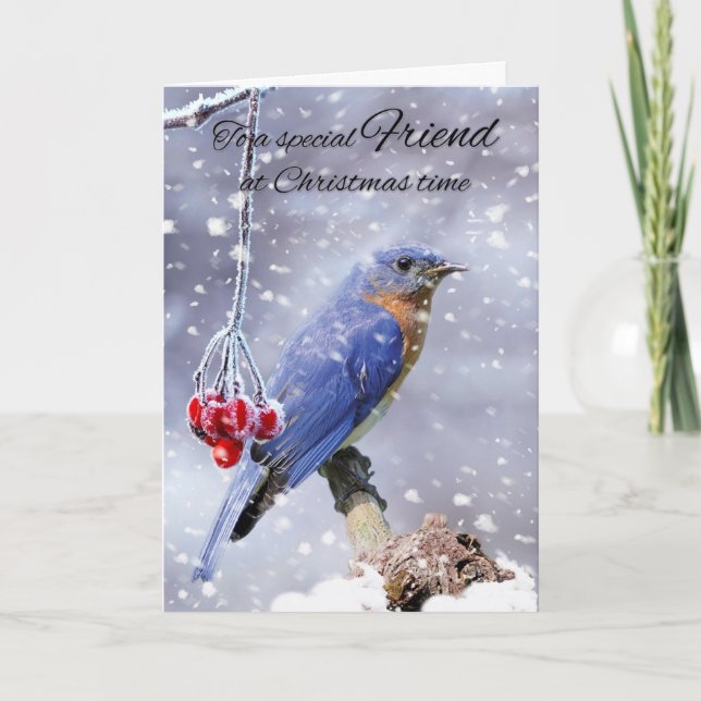 Friend Bluebird In The Snow Winter Holiday Card (Front)