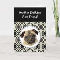 Friend Don't look Sad Birthday Pug Pet Dog