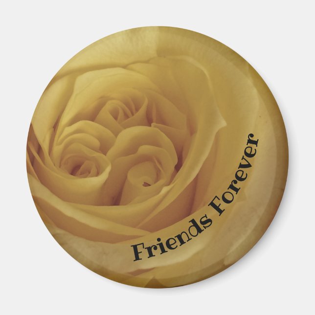 Friend Forever Friendship Yellow Rose Photo Flower Magnet (Front)