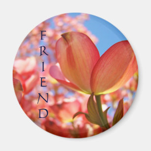 Friend magnet Nature Pink Dogwood Flowers Trees