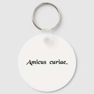 Friend of the court key ring