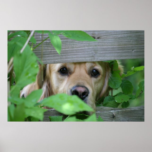 Friend Poster (Front)