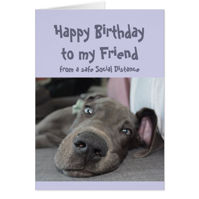 Friend Social Distancing Birthday Great Dane Dog (Front)
