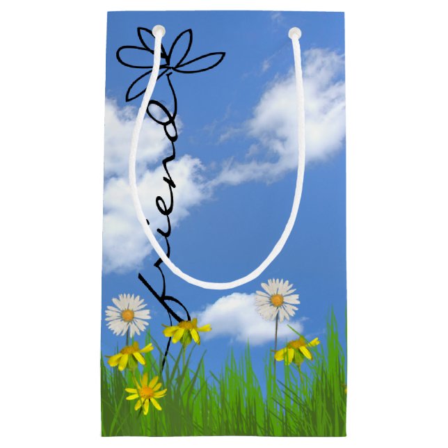 Friend text daisy in grass small gift bag (Front)