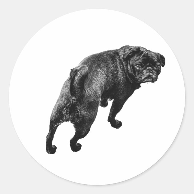 Friendly Angle, Upbeat Joy Classic Round Sticker (Front)