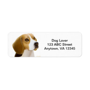 Friendly Beagle Dog Customisable Return Address Label