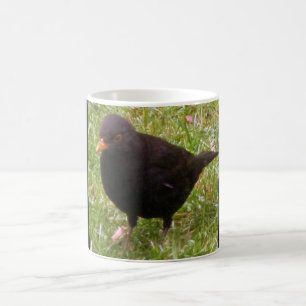 Friendly Blackbird Mug