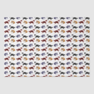 Friendly Border Collie Dogs Tissue Paper