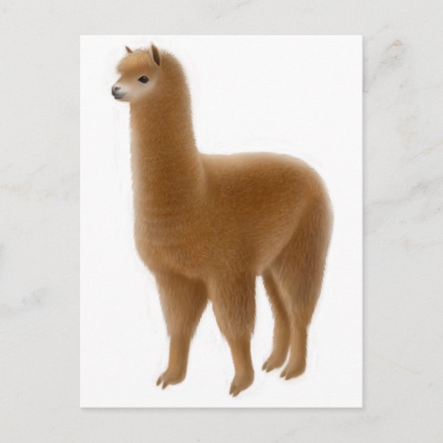 Friendly Brown Alpaca Postcard (Front)