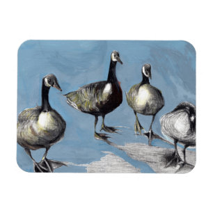 Friendly Canada Geese 2012 Magnet