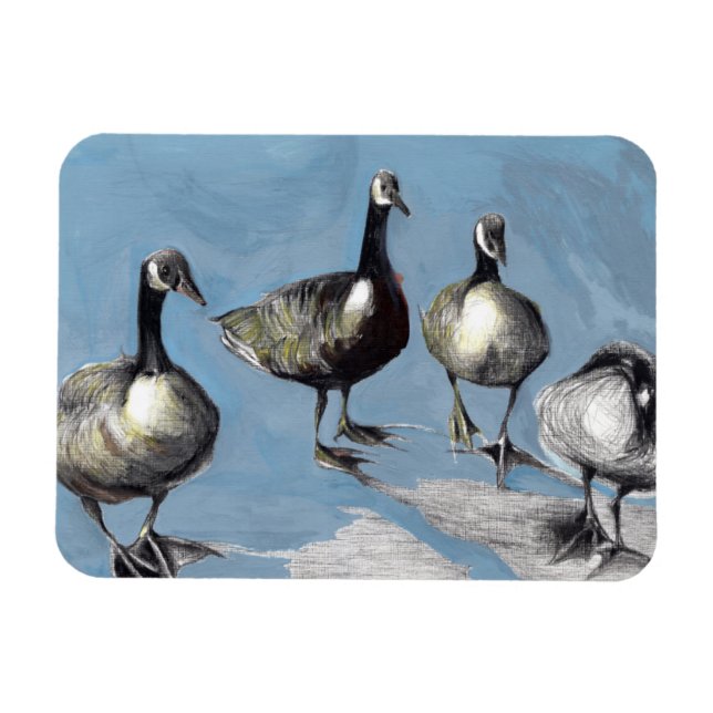 Friendly Canada Geese 2012 Magnet (Horizontal)
