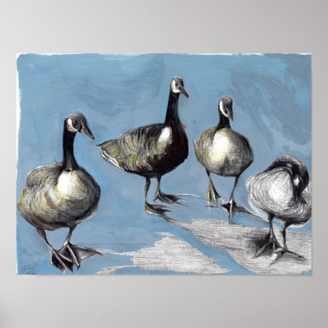 Friendly Canada Geese 2012 Poster (Front)