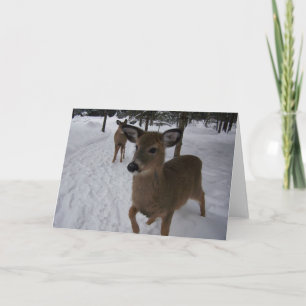 friendly deer card