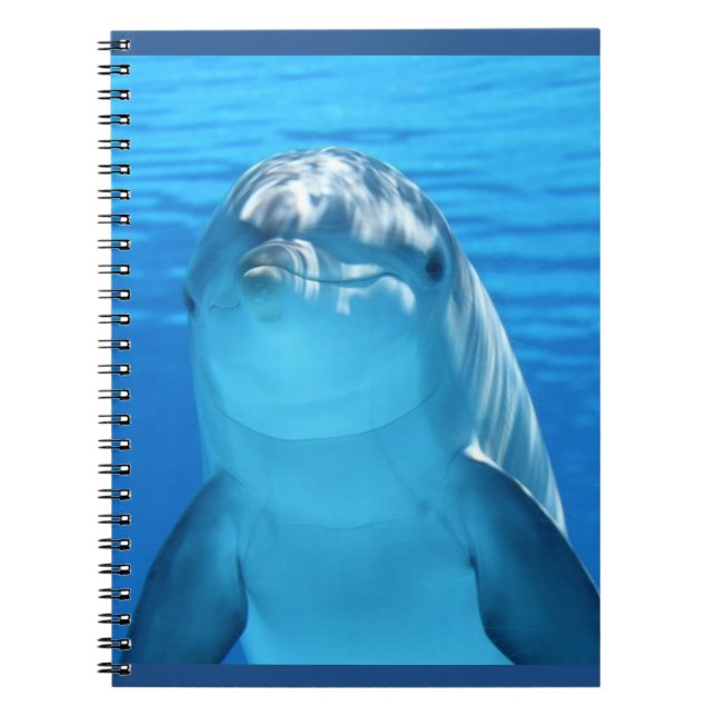 Friendly Dolphin Photo Notebook (Front)