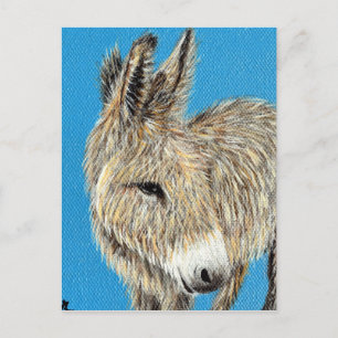 Friendly Donkey Painting Postcard