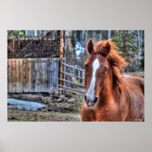 Friendly Dun Ranch Horse Photo & Poem Poster