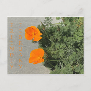 Friendly February! Postcard
