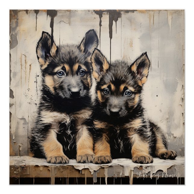 Friendly German Shepherd Puppy Dogs  001 - Raimon  Poster (Front)
