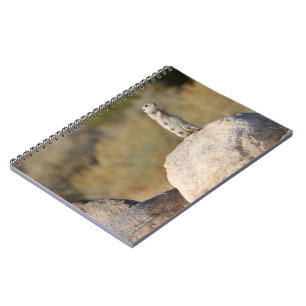 Friendly Greetings Notebook