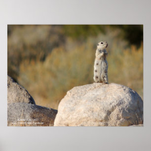 Friendly Greetings Poster