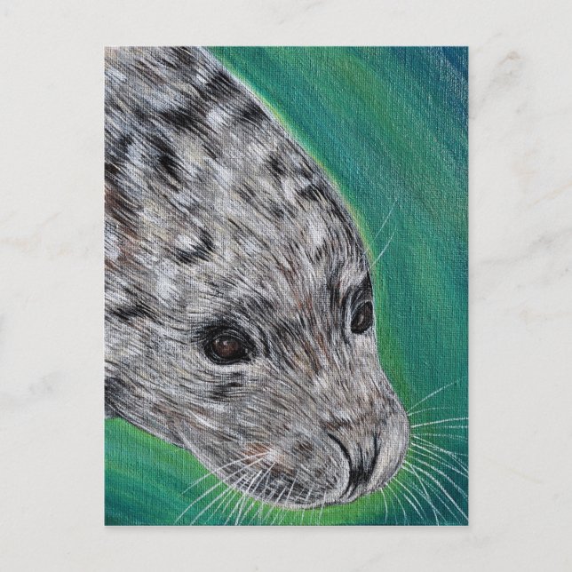 Friendly Harbour Seal Painting Postcard (Front)