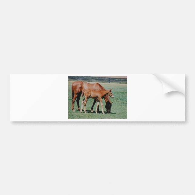 FRIENDLY HORSES BUMPER STICKER (Front)