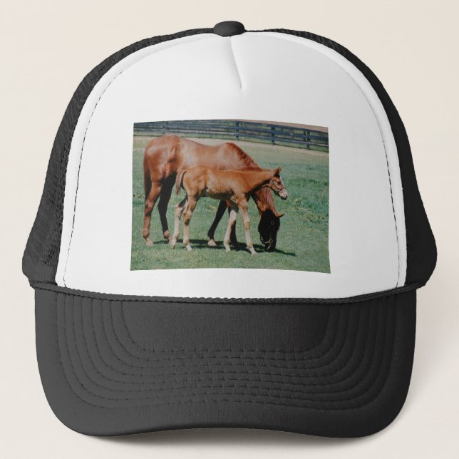 FRIENDLY HORSES TRUCKER HAT (Front)