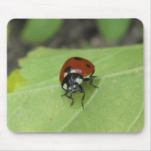 Friendly Ladybug Mouse Pad