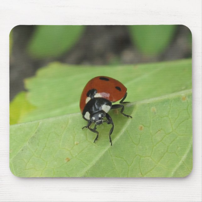 Friendly Ladybug Mouse Pad (Front)