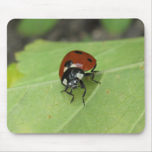 Friendly Ladybug Mousepad