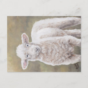 Friendly Lamb Sheep Animal Art Postcard