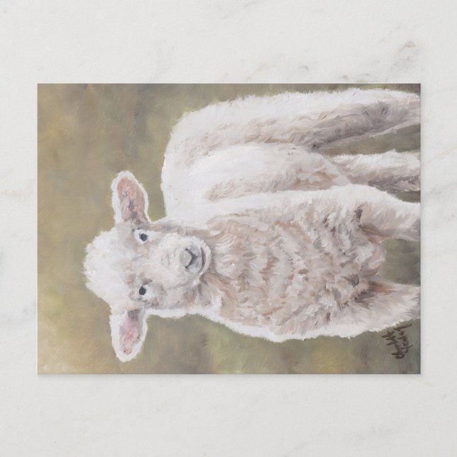 Friendly Lamb Sheep Animal Art Postcard (Front)