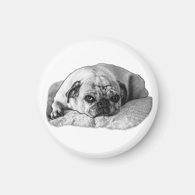 Friendly Light in Every Space Magnet (Front)