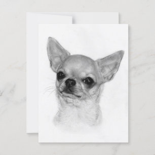 Friendly Look - Hand Painted Dog Illustration Postcard