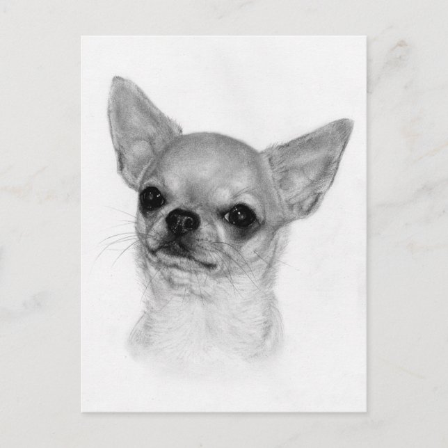 Friendly Look - Hand Painted Dog Illustration Postcard (Front)