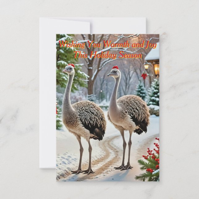  Friendly ostriches Invitation (Front)