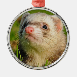 Friendly Pet Ferret Metal Ornament