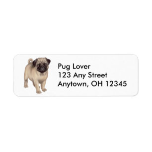 Friendly Pug Dog Label Return Address Label