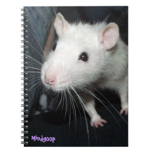 friendly rat notebook