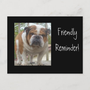 Friendly Reminder English Bulldog Postcards